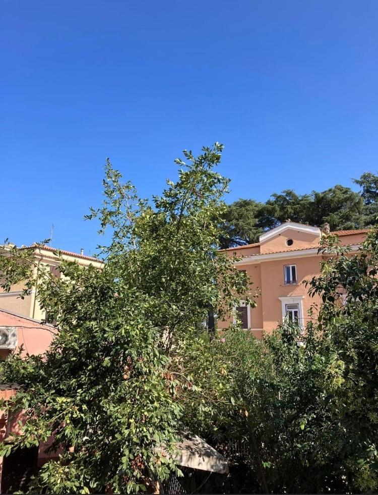 Casa Di Vivi, Comoda Per Il Centro, Il Vaticano Ed Il Gemelli روما المظهر الخارجي الصورة